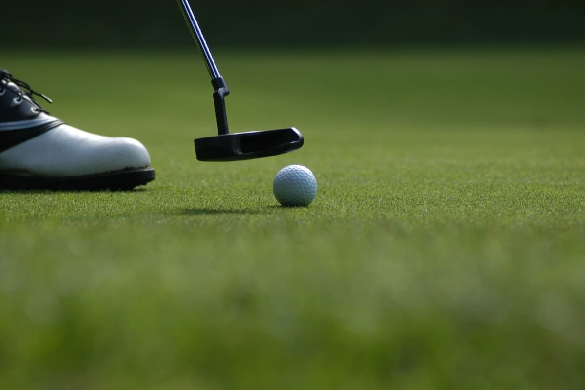 Hình ảnh gói Putting Master
